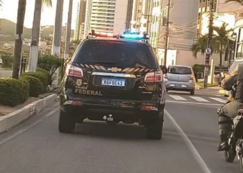 Grupo traficava na fronteira do Brasil com Bolívia • Divulgação