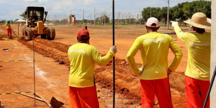 Pelo quinto ano consecutivo, Sistema Penal tocantinense marca presença na preparação da Agrotins