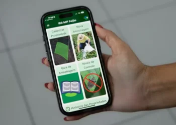 Aplicativo coleta de amostras nas lavouras e avalia a necessidade de controle com uma lista de inseticidas já registrados — Foto: Divulgação/IDR-Paraná