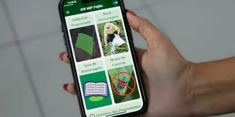 Aplicativo ajuda no combate a pragas e doenças do feijão no Paraná
