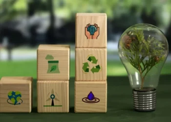 Na COP30, o Brasil deve buscar fortalecer sua liderança na agenda climática global • Freepik