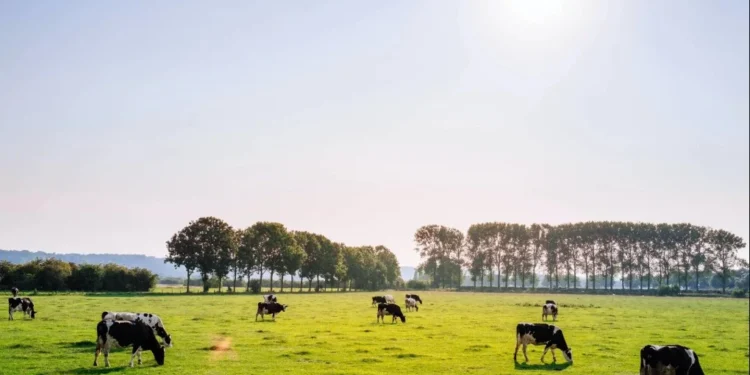 Novo edital do Ecoinvest sai nas próximas semanas, dizem fontes