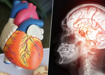 Insuficiência cardíaca e AVC: as causas da morte do papa Francisco — Foto: Adobe Stock