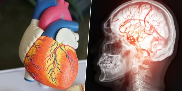 Insuficiência cardíaca e AVC: as causas da morte do papa Francisco — Foto: Adobe Stock