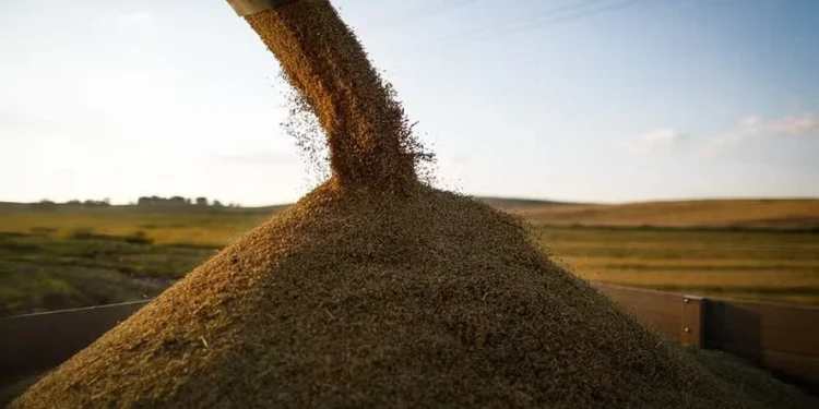 Safra maior fez exportações de arroz crescerem 86% em março