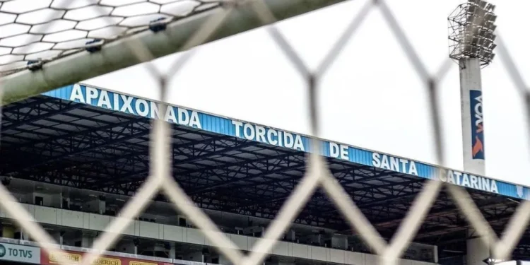 Avaí x América-MG: horário e onde assistir ao jogo da Série B