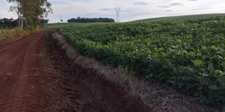 Situação fundiária no Brasil é complexa e pode dificultar participação do agro no mercado de carbono — Foto: Marcelo Beledeli / Globo Rural