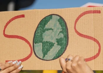 Tema central da Bett Brasil é “Educação para enfrentar crises e construir futuros regenerativos” • Freepik