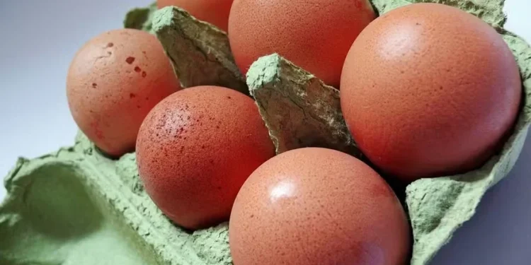 Ovo é o produto que mais subiu de preço neste ano, no acumulado até março — Foto: Pixabay