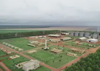 Fazenda da SLC Agrícola — Foto: SLC Agrícola / Divulgação