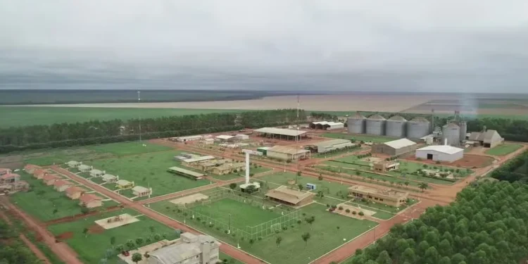Fazenda da SLC Agrícola — Foto: SLC Agrícola / Divulgação