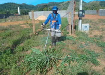 Força-tarefa leva roçagem, limpeza e tapa-buracos ao distrito de Taquaruçu