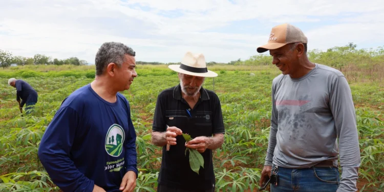 Agroevolução marcará participação da Fazendinha do Calor Humano na Agrotins 2025 com produção sustentável e criação de peixes