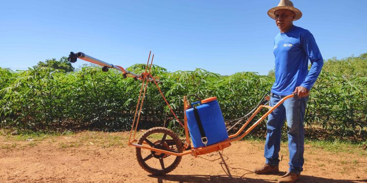 Prefeitura de Palmas capacita produtores rurais da região do São João e Mariana sobre plantio de mandioca com transferência de tecnologia