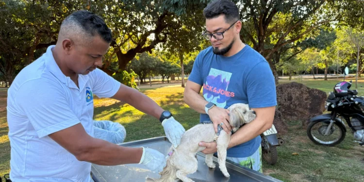 Setor Santa Fé II e Taquaruçu terão pontos de vacinação antirrábica