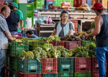 As coletas, segundo a Anvisa, estão previstas para ocorrer entre maio e dezembro
crédito: Rafa Neddermeyer/Agência Brasil