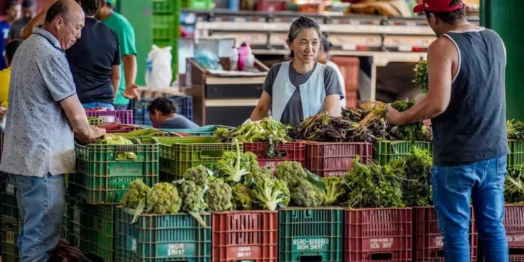 Agrotóxicos em alimentos estão na mira da Anvisa; saiba o que isso significa