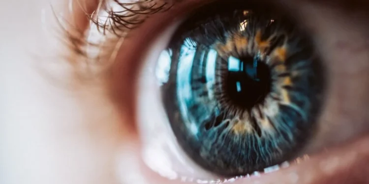 A resposta das pupilas à luz durante a avaliação ajuda a identificar possível dano ou lesão grave no cérebro crédito: wirestock/ FreePik