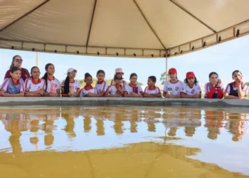 Alunos da rede municipal de ensino visitam Projeto Germinar na Agrotins 2025