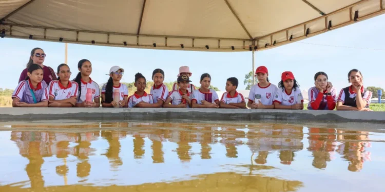 Alunos da rede municipal de ensino visitam Projeto Germinar na Agrotins 2025