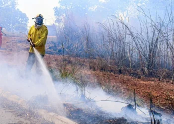 Brigadistas florestais vão auxiliar os bombeiros militares na prevenção e combate aos incêndios florestais. - Foto: Luiz Henrique Machado/Governo do Tocantins