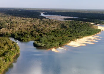APA Ilha do Bananal/Cantão é uma Unidade de Conservação de uso sustentável gerida pelo Naturatins - Foto: Fernando Alves/Governo do Tocantins