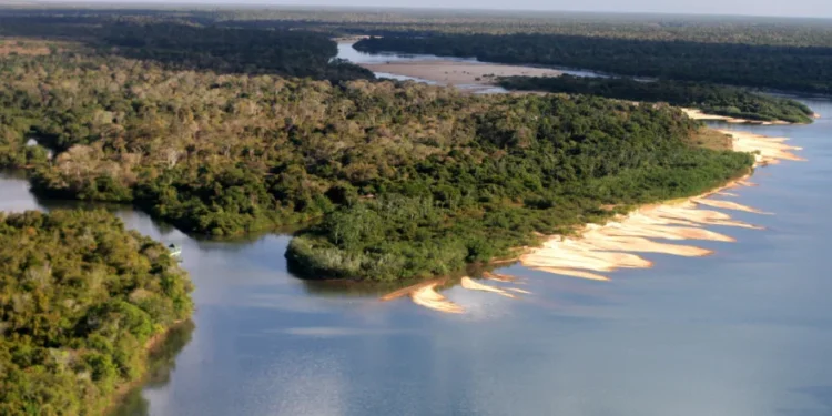 Naturatins divulga lista preliminar das entidades habilitadas para compor o Conselho Gestor da APA Ilha do Bananal/Cantão