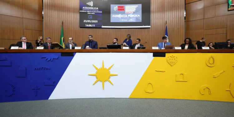 Audiência Pública - foto Marco Miatelo