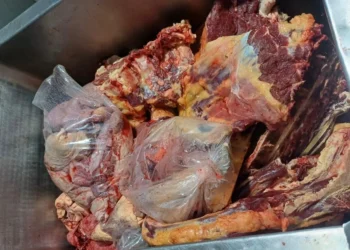 Vigilância Sanitária apreende mais de meia tonelada de carne clandestina e 27 mil ovos impróprios para consumo em estabelecimentos de Palmas
