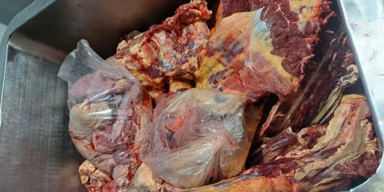 Vigilância Sanitária apreende mais de meia tonelada de carne clandestina e 27 mil ovos impróprios para consumo em estabelecimentos de Palmas