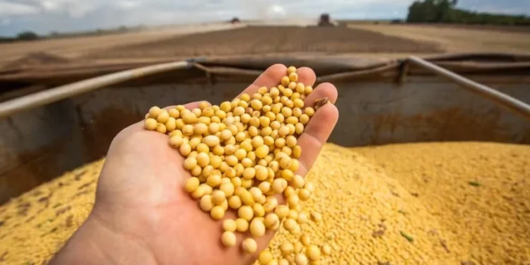 APROSOJA TOCANTINS lança campanha na Agrotins para valorizar a soja e aproximar o campo da cidade