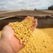 APROSOJA TOCANTINS lança campanha na Agrotins para valorizar a soja e aproximar o campo da cidade