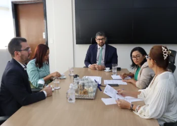 Encontro teve como foco a definição de responsabilidades entre os órgãos - Jodacy Filho / Governo do Tocantins