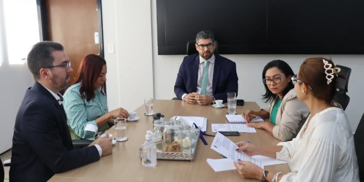Secretarias da Segurança Pública e da Mulher alinham construção de planos de metas e de enfrentamento à violência contra a mulher
