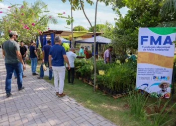 Fundação de Meio Ambiente realiza doação de mudas e dinâmica sobre coleta seletiva na Agrotins 2025