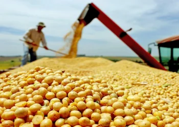 Desempenho esperado posiciona o Tocantins à frente da média nacional, estimada em 2,2% para o ano - Crédito: Seagro/Governo do Tocantins