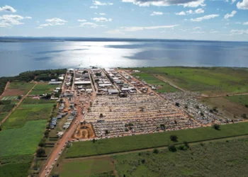 Governo do Tocantins encerra Agrotins 25 anos com mais de R$ 5 bilhões em negócios e reforço à inovação e ao agro tocantinense (Seagro/Governo do Tocantins)