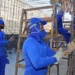 Tocantins tem o maior número de trabalhadores formais em relação aos beneficiários do Bolsa Família do Norte e Nordeste