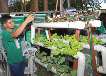 Tecnologia, sustentabilidade e formação acadêmica se unem na maior feira agropecuária do Norte do Brasil - Crédito das fotos: Ademir do Anjos/Governo do Tocantins