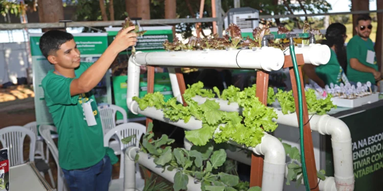 Na Agrotins 25 anos, instituições de ensino apresentam como a ciência está transformando o campo no Tocantins