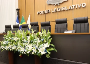 Câmara de Palmas realizará sessão solene em homenagem aos assistentes sociais