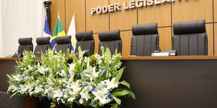 Câmara de Palmas realizará sessão solene em homenagem aos assistentes sociais