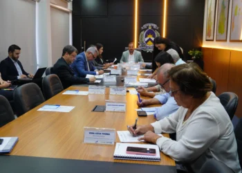 O CDE é um órgão colegiado vinculado à Sics. Sua principal função é analisar e deliberar sobre projetos de investimento que buscam incentivos fiscais e outros benefícios para se instalarem ou expandirem no estado