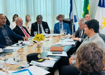 Secretário-executivo Hélio Marques apresentou duas ações desenvolvidas pela Pasta. - Foto: Thayllor Negre/Governo do Tocantins