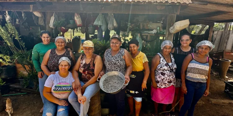 Oficina de produção de óleo de coco babaçu fortalece trabalho das mulheres agroextrativistas em Araguacema