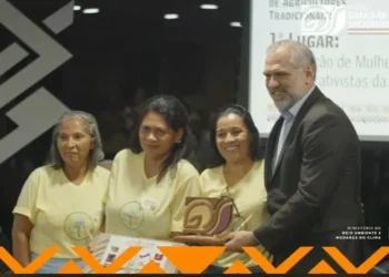 Associação de Mulheres Agroextrativistas da APA Ilha do Bananal/Cantão é premiada no 1º Prêmio Guardiãs da Sociobiodiversidade