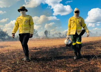 Unidades de Conservação estaduais iniciam temporada de queimas prescritas