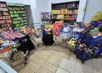 Entre os mais recorrentes estavam a venda de produtos com validade vencida, sem informações sobre data de fabricação ou prazo de validade, itens avariados ou sem rótulo em língua portuguesa.