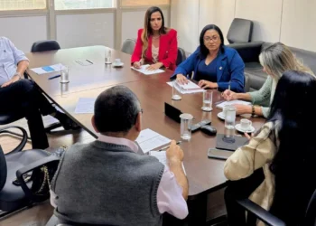 Governo do Tocantins fortalece parcerias em Brasília para ampliar rede de proteção às mulheres