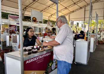 Com o apoio do Governo do Tocantins, produtos derivados dos frutos do Cerrado atraem visitantes e revelam o potencial das famílias que vivem nas Unidades de Conservação - Foto: Andréa Marques/Governo do Tocantins